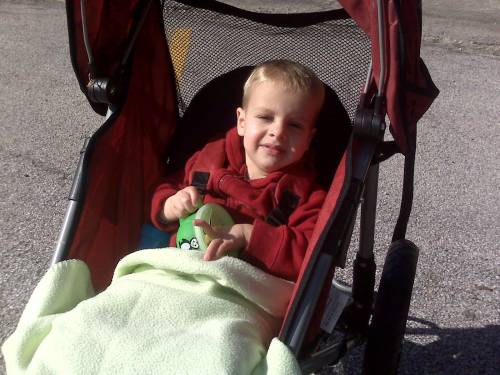 Instep jogging stroller reviews online